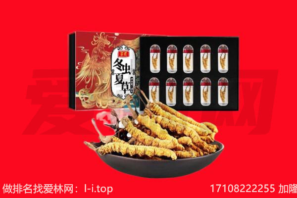 保定市望都回收虫草.jpg